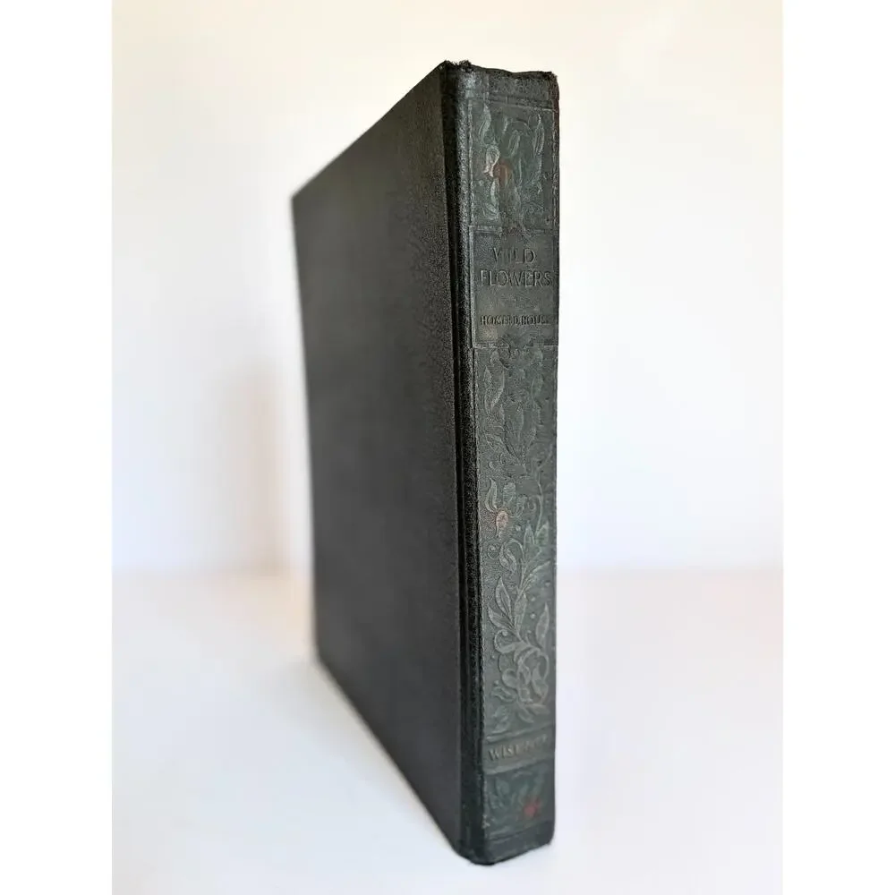 Wild Flowers Book Homer D House Macmillan 1935 Color Botanical Plates EXCELLENT